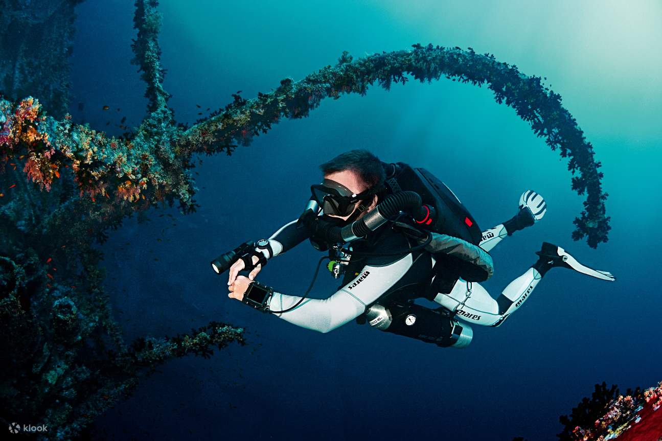 penyelam dengan karang yang cantik
